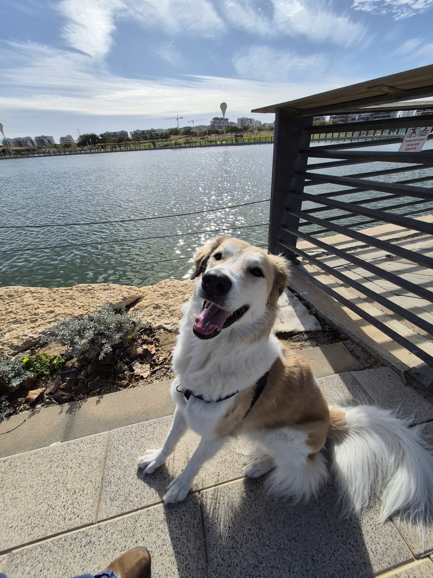 Dylan sitting by a sparkling lake, completely content