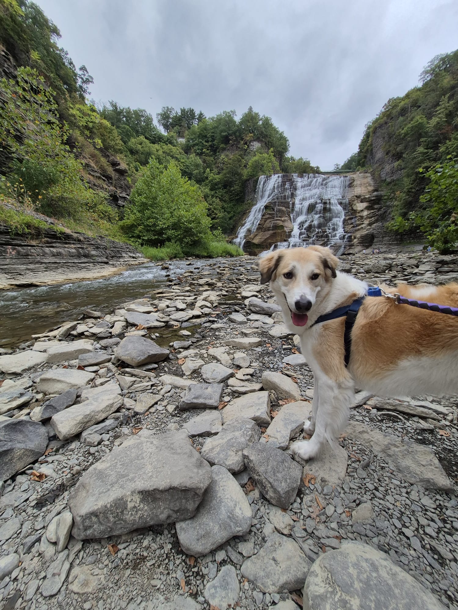 Dylan posing in front of a waterfall on a rocky riverbed